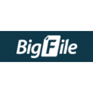 BigFile Premium 30 Days