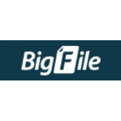 BigFile Premium 365 Days